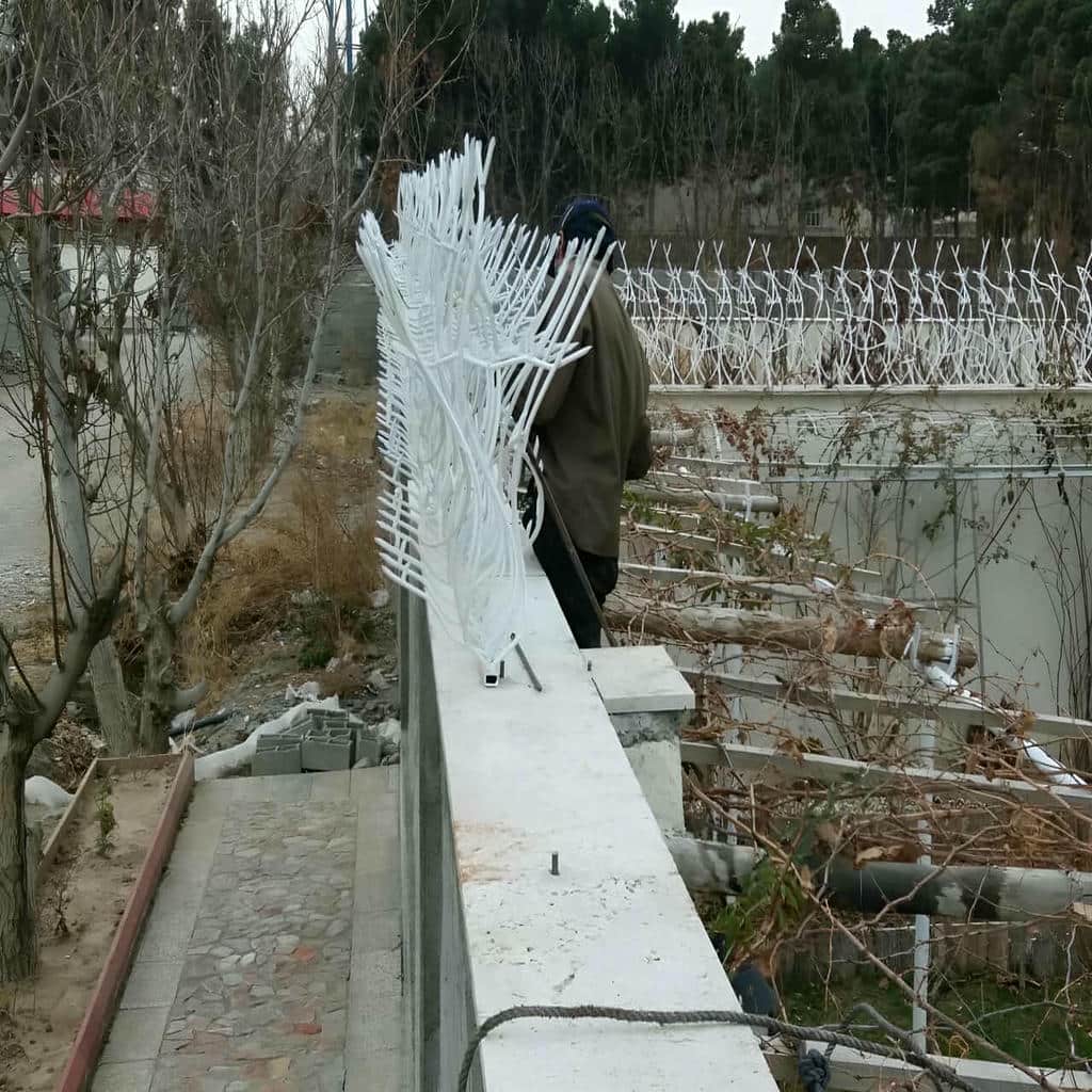حفاظ دیوار شیراز نمای نزدیک شاخه های نوک تیز حفاظ دیوار شیراز نمای نزدیک شاخه های نوک تیز