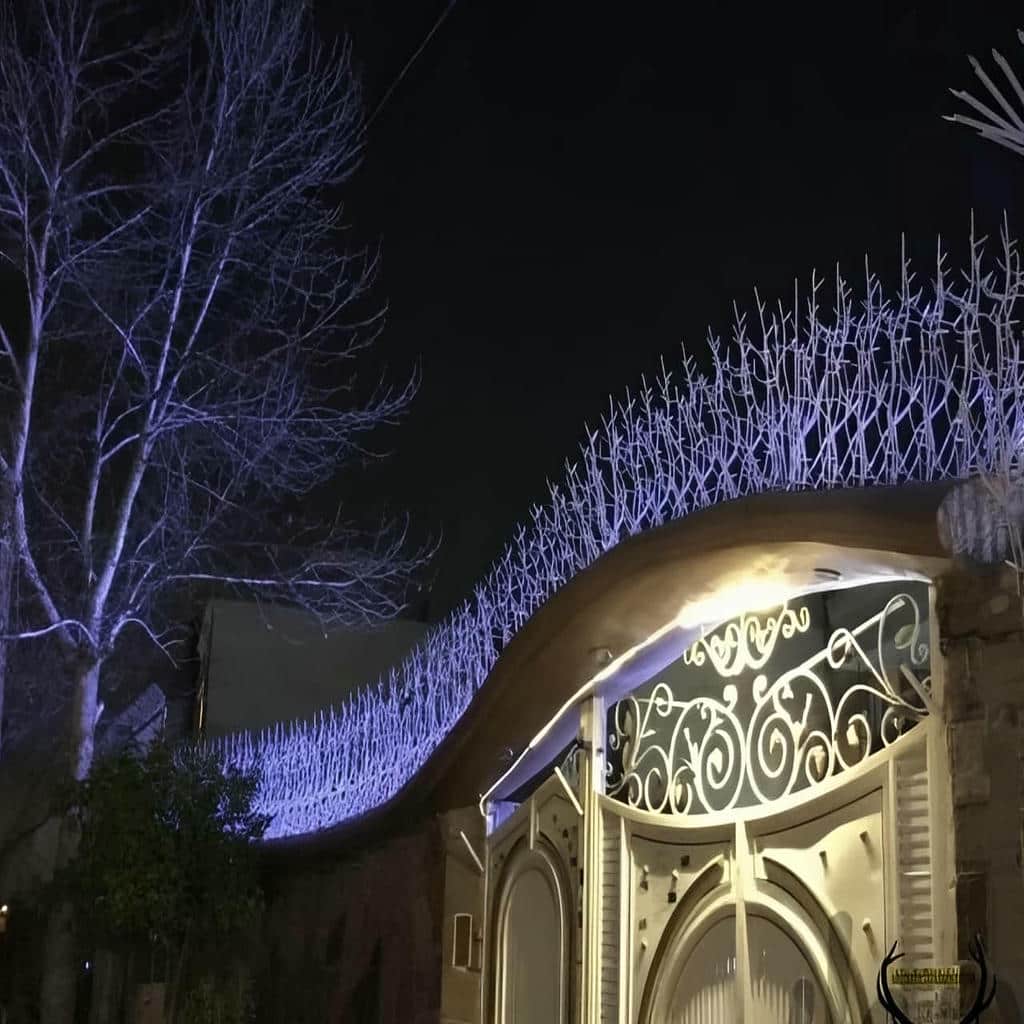 حفاظ شاخ گوزنی با پوشش تیره در استان زنجان