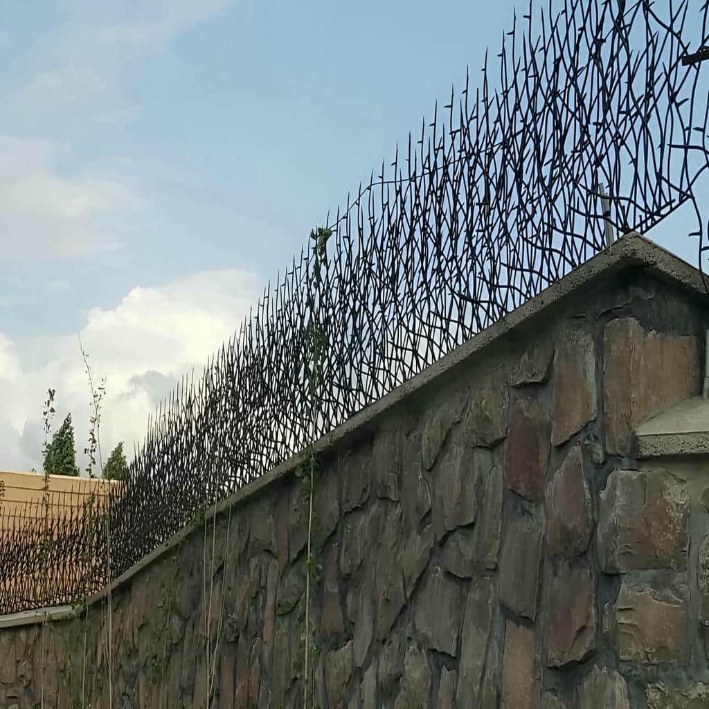 حفاظ شاخ گوزنی با پوشش رنگ کوره‌ای